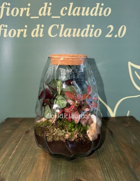 🌿 TERRARIUM DI PIANTE MISTE CON VASO IN VETRO ONDULATO